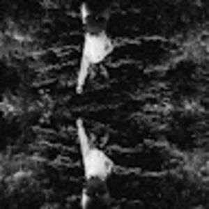 Meet your Posher, Amelia